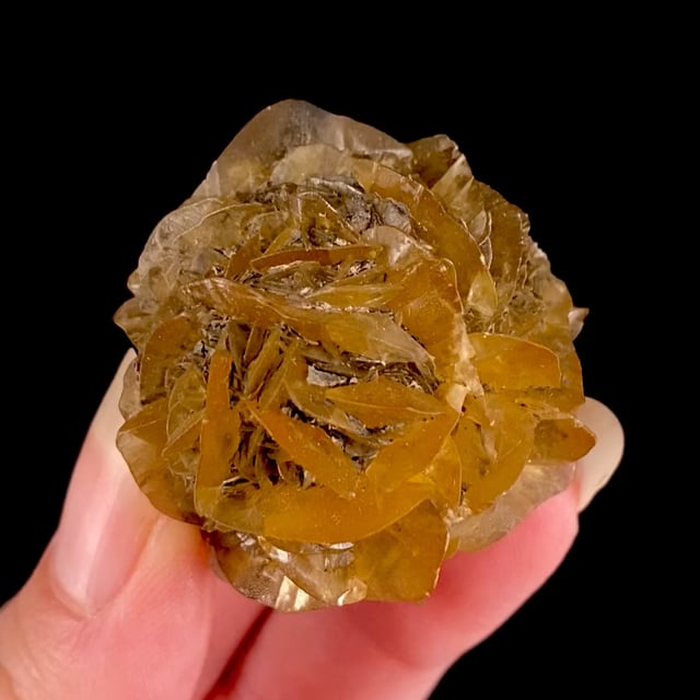 Gypsum (''floater'' specimen)