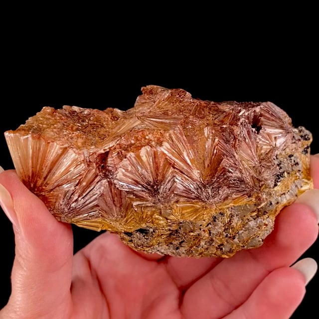 Pyrophyllite (rare locality)