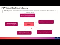 Packet Data Network Gateway (PGW)