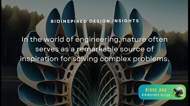 Bioinspired Design Insights on Vimeo