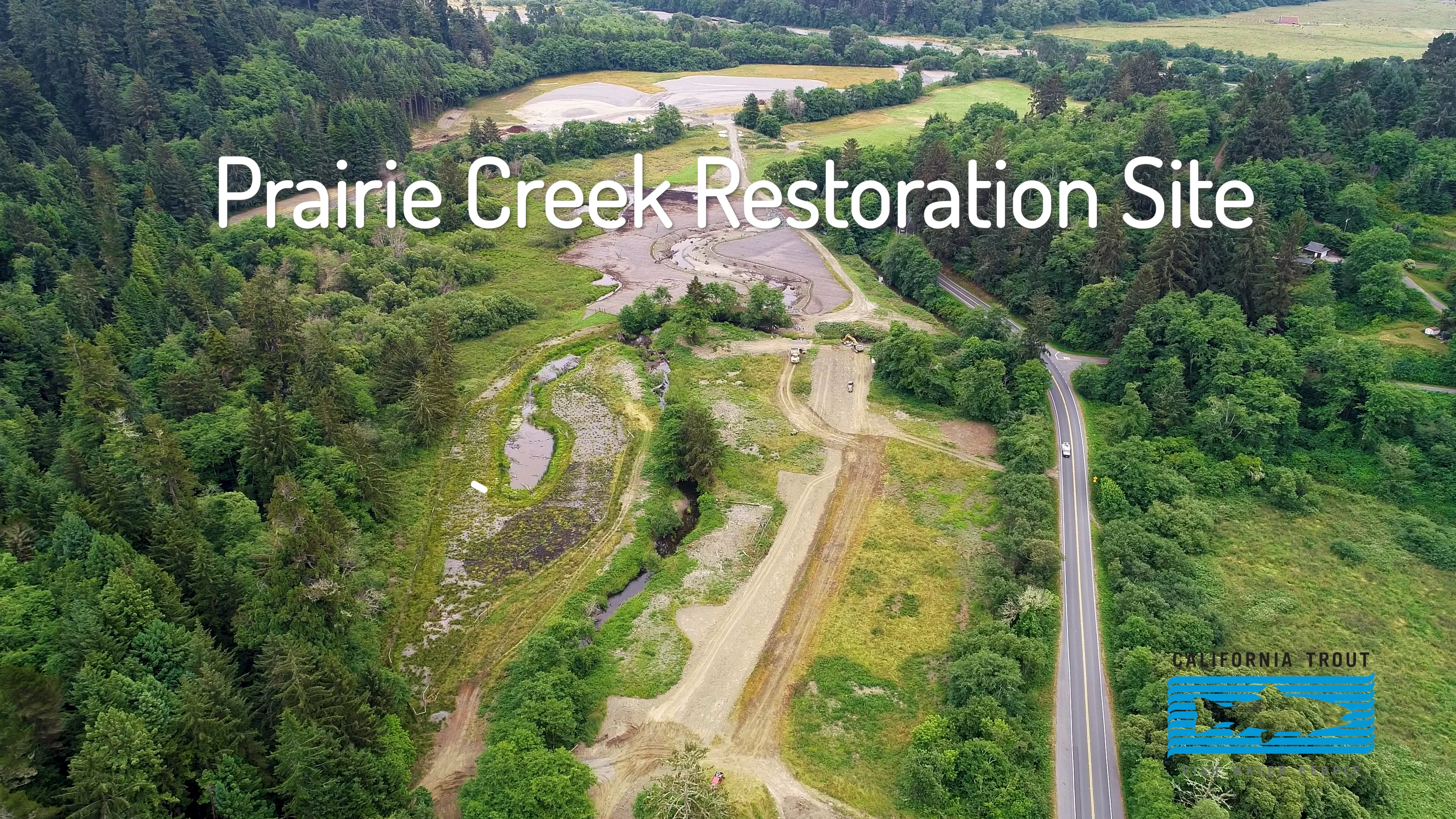 Prairie Creek Restoration Project: Fish Relocation on Vimeo
