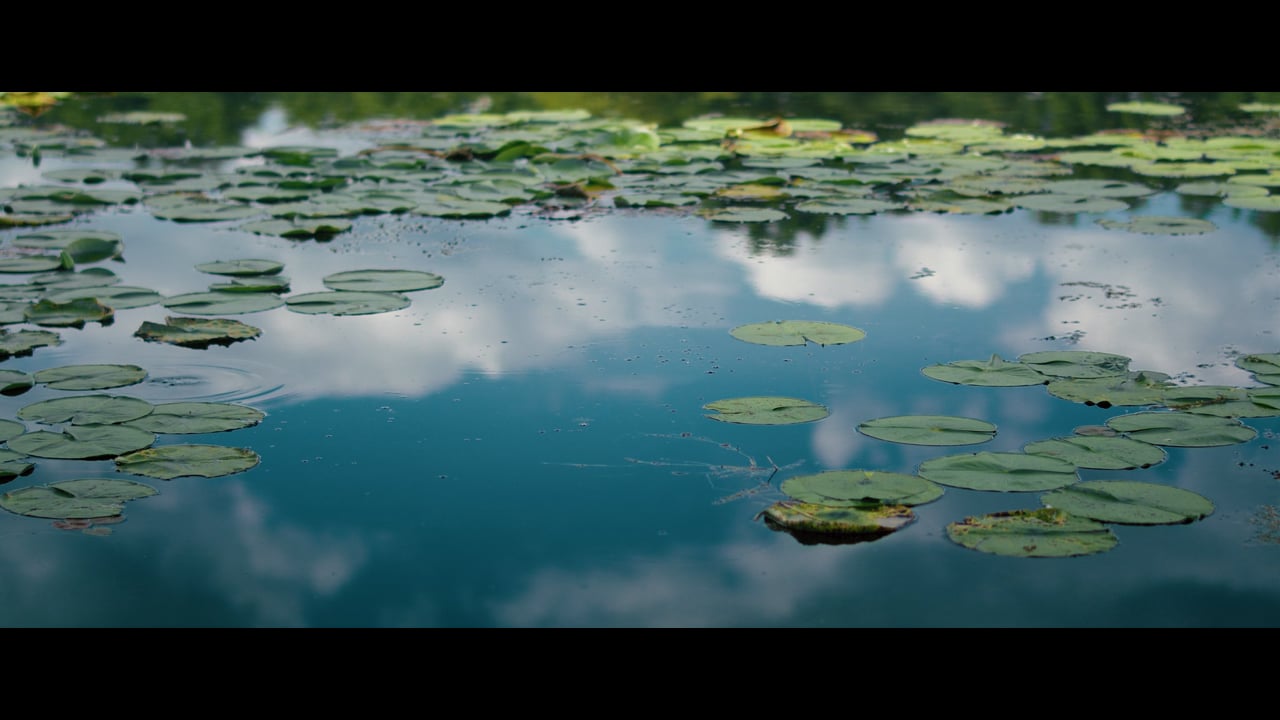 Harmony