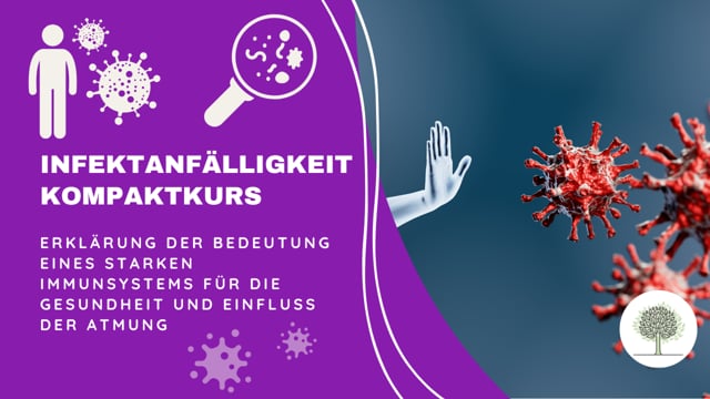 Erklärung der Bedeutung eines starken Immunsystems für die Gesundheit und Einfluss der Atmung. 