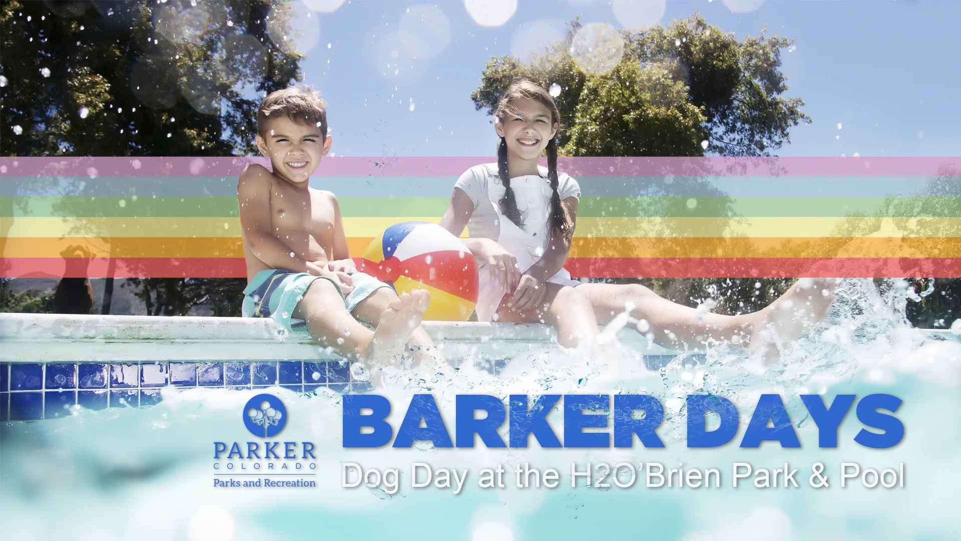 Barker Days Dog Day at the H2O Brien Park Pool