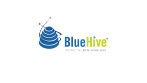 BlueHive • Interactive Data Visualizer FINAL