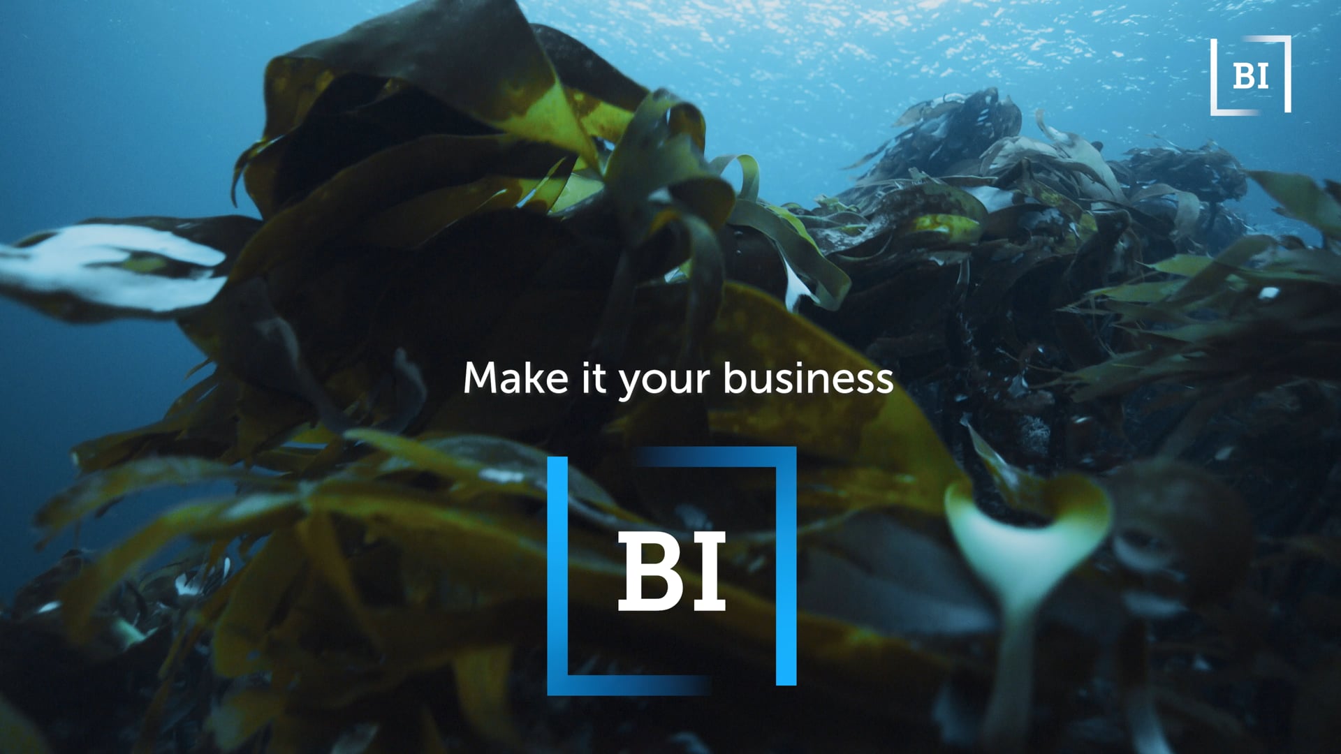 BI Norwegian Business School