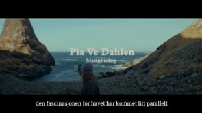 Related Embedded Video Item Thumbnail