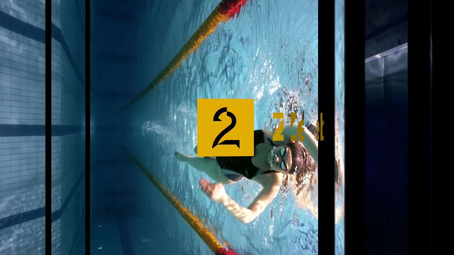 TV2 Zebra idents