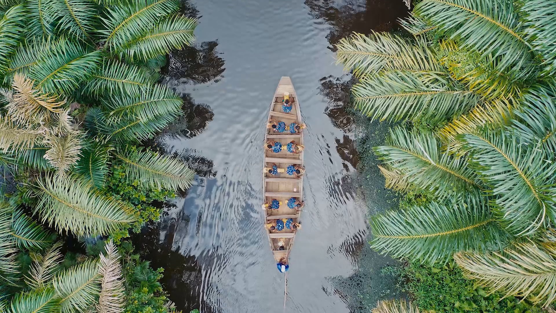PÉPIT'ARTS - ECLOSIONS (CLIP OFFICIEL) on Vimeo