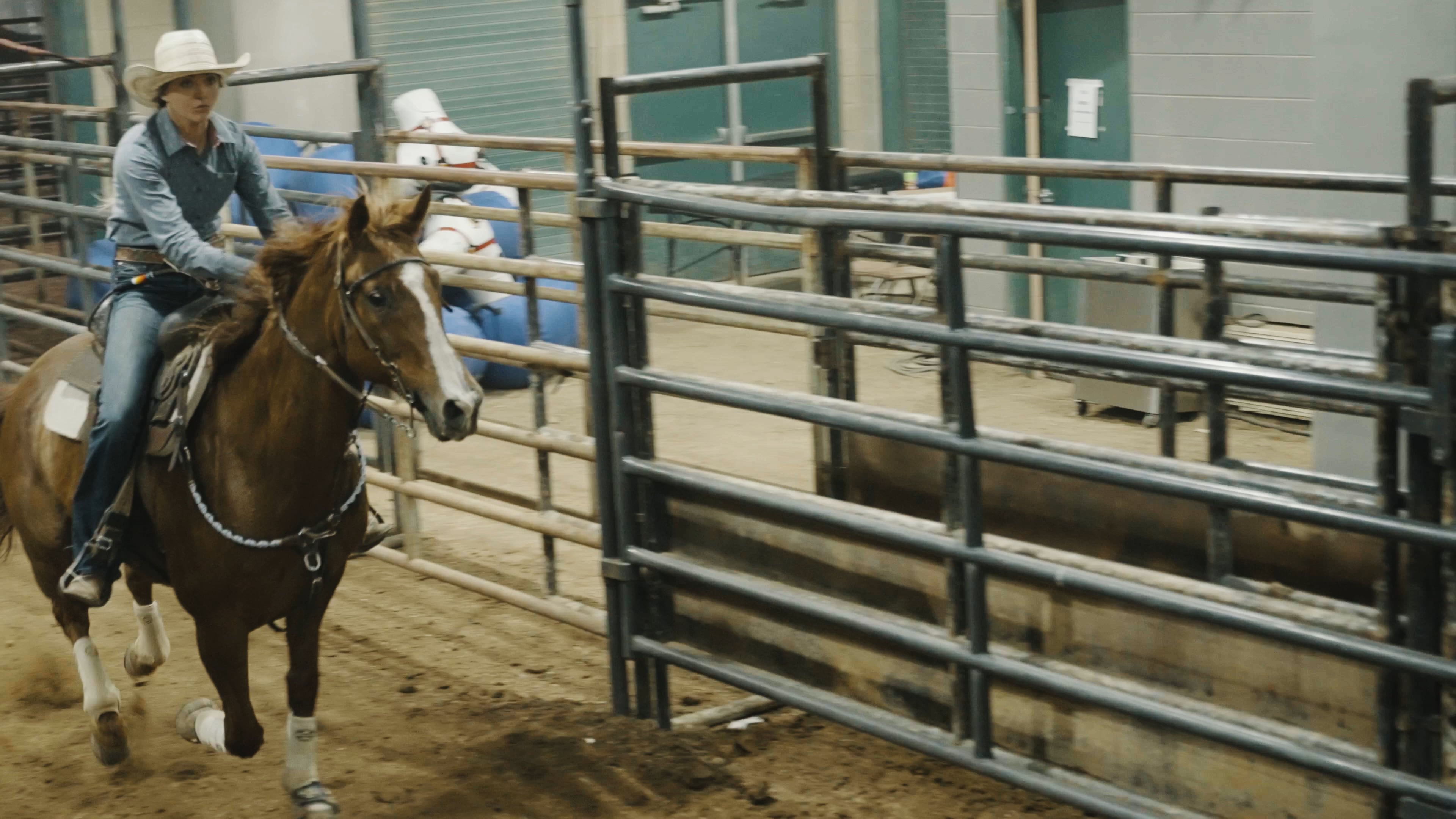 Rodeo Bulls & Barrels Intro on Vimeo