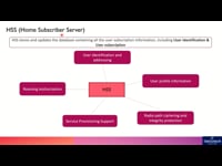 4G Home Subscriber Server (HSS)