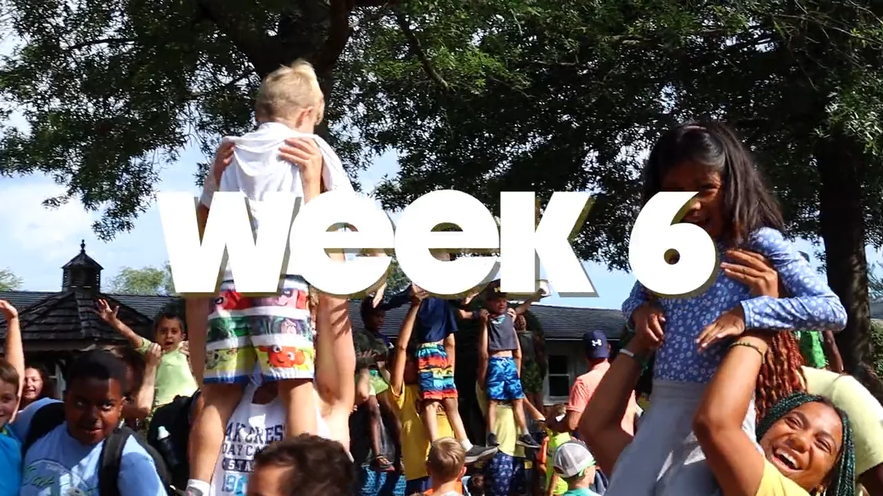 Week 6 on Vimeo