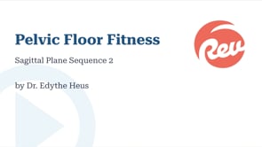 Sagittal Plane Sequence 2