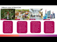 Types of Cells