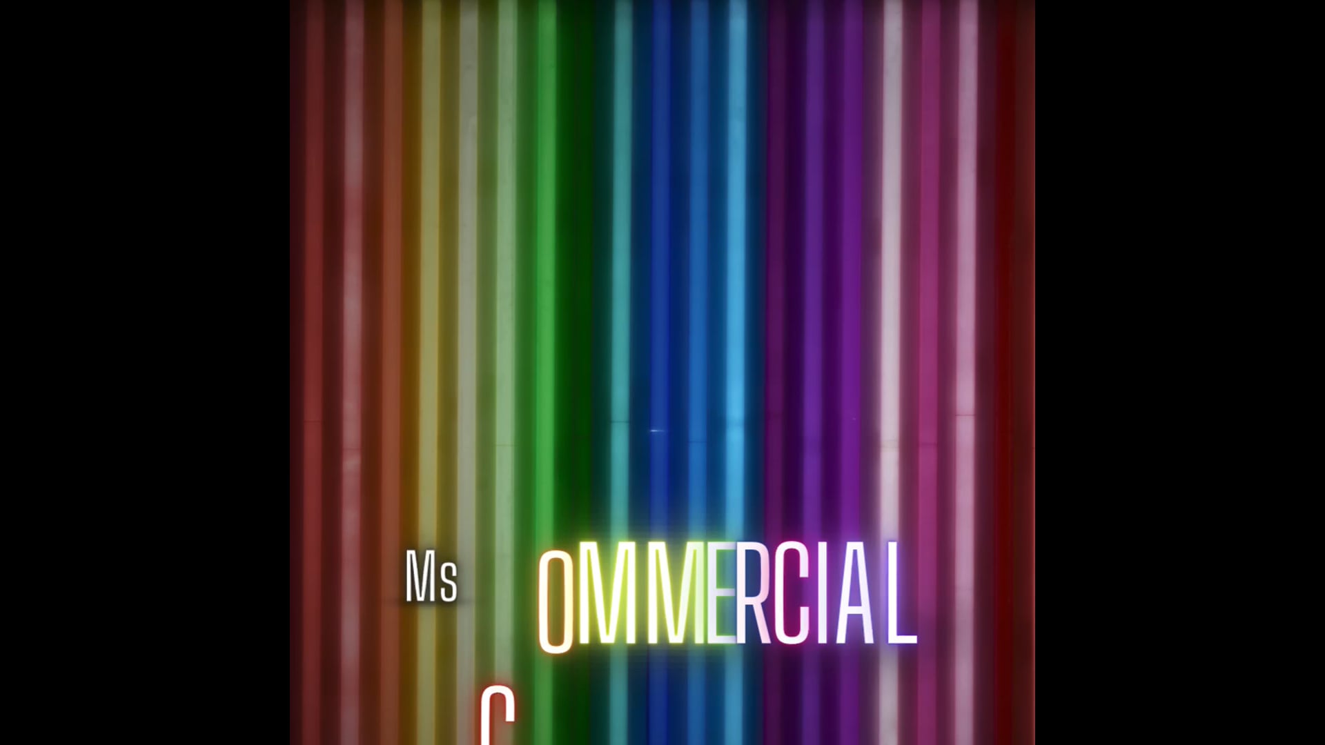 MS COMMERCIAL