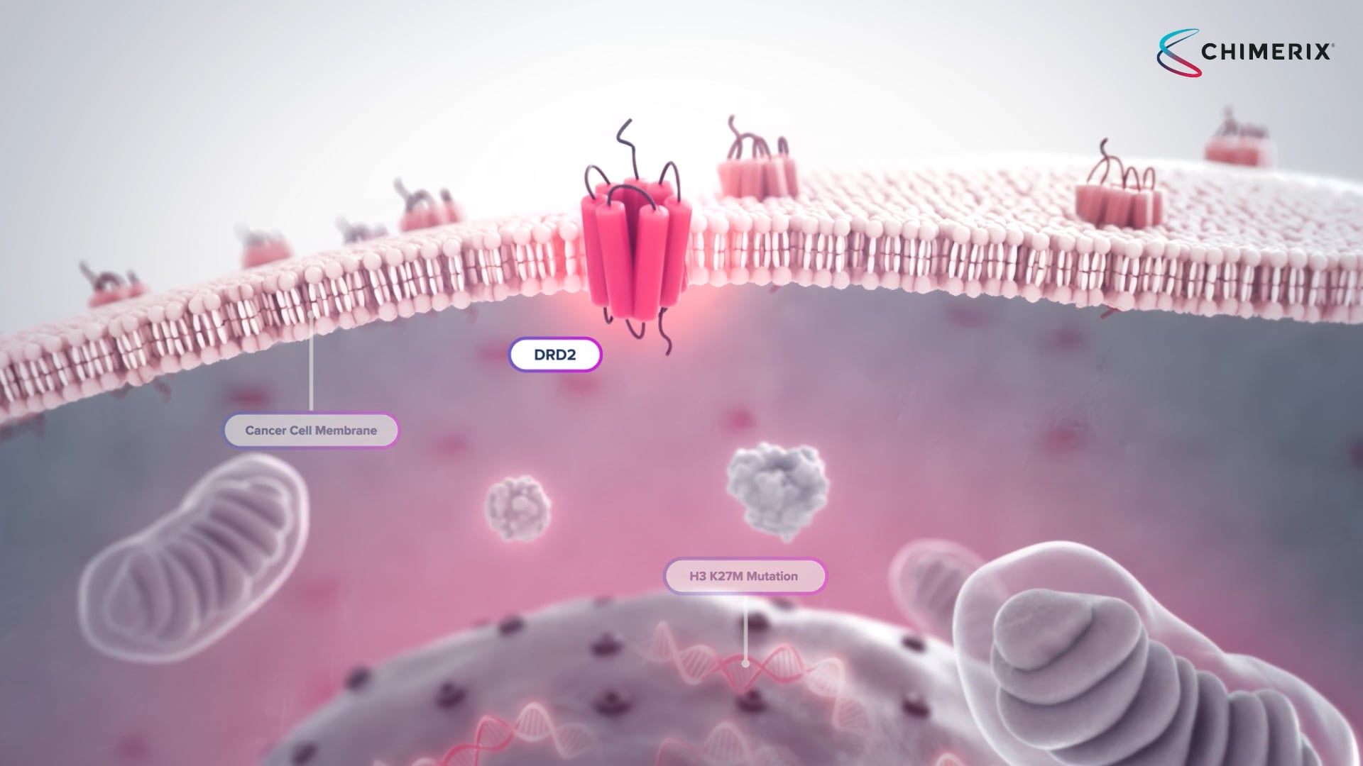 Chimerix on Vimeo