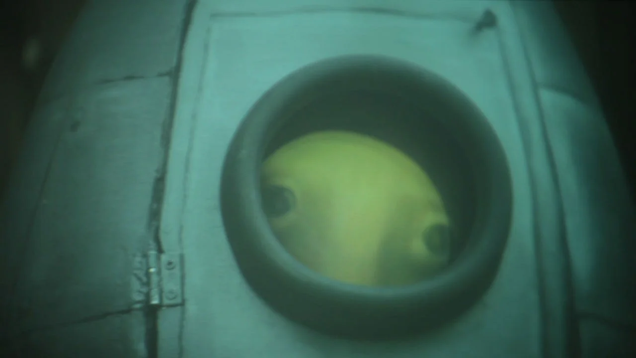 vimeo.com