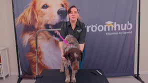 microbite Clipped or Stripped