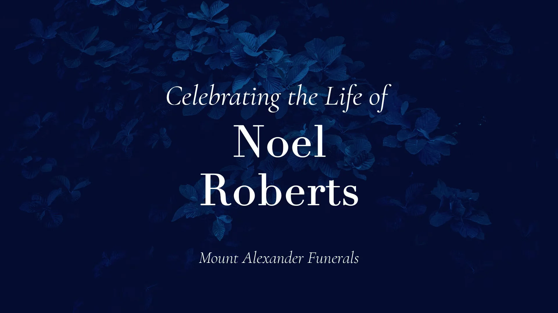 Noel Roberts on Vimeo