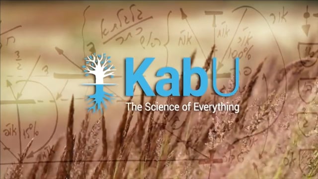 Aug 6, 2023 – The Rav, The Group, and The Books