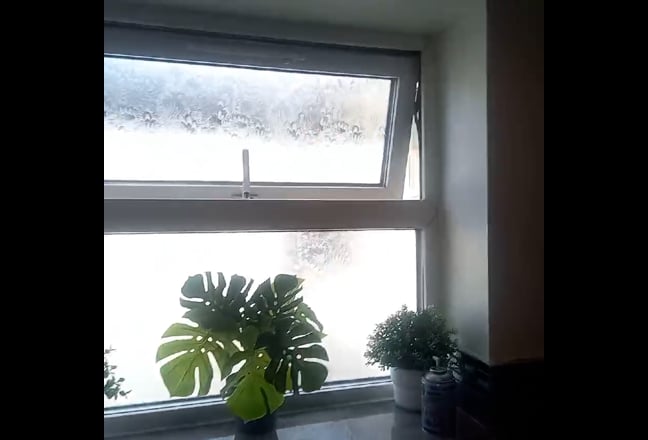 Single Room to rent in Stratford  Main Photo