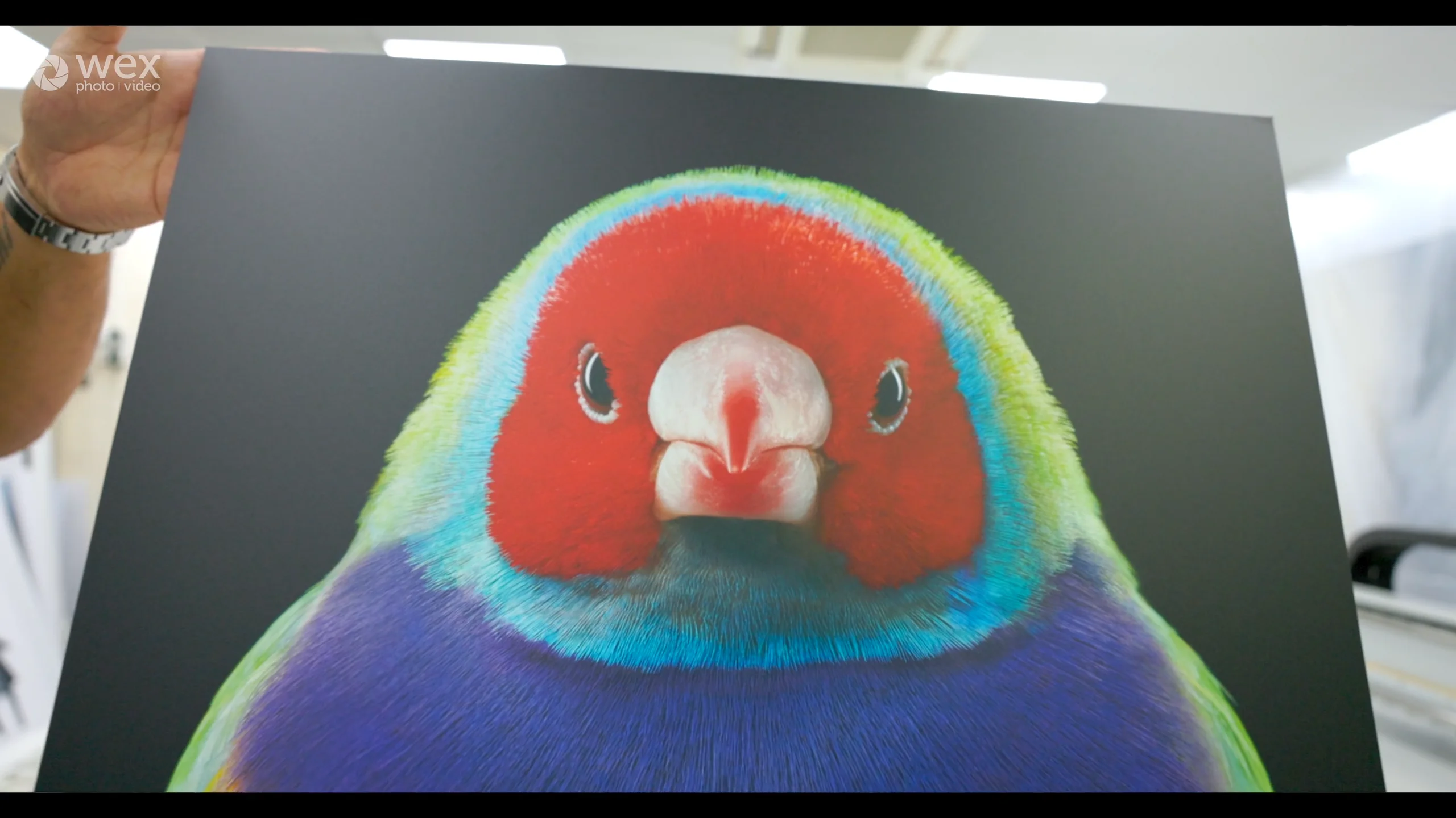 Genesis Imaging | Shot On Canon R5 on Vimeo
