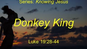 4-10-22 Donkey King