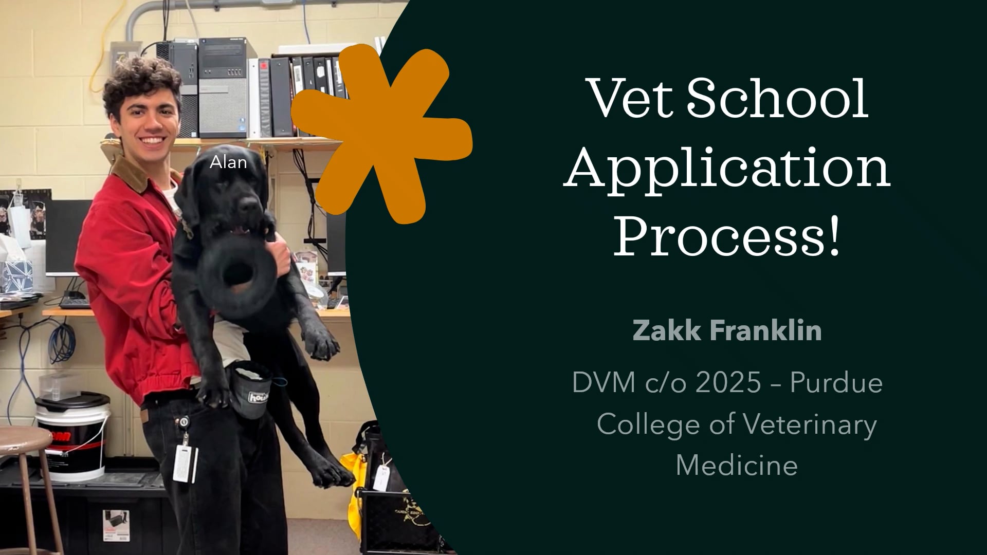 vet-school-application-advice-on-vimeo