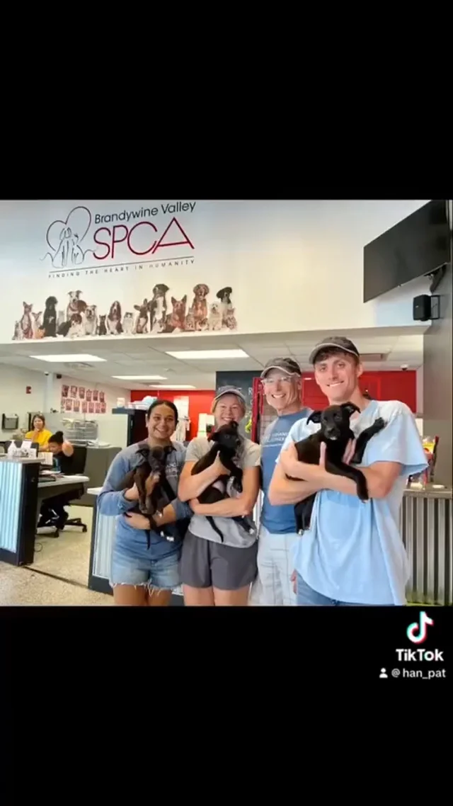 Brandywine Valley SPCA