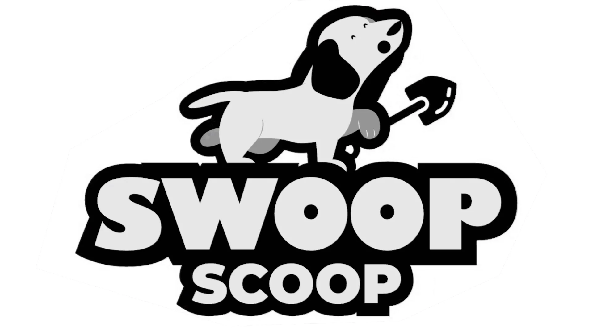 Swoop Scoop Promotional Video on Vimeo