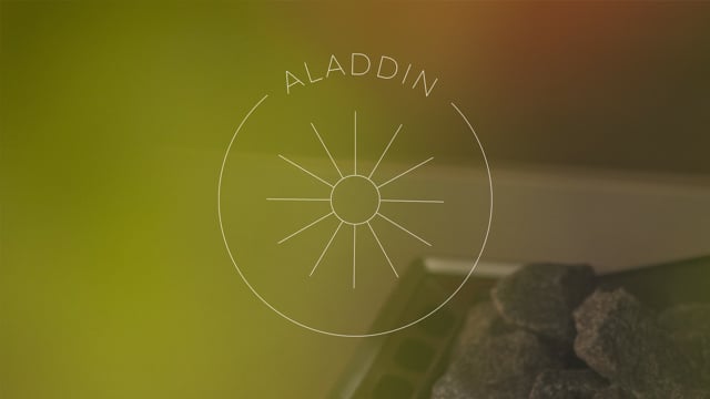 Aladdin — Experience