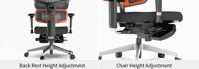 Dynamic Lumbar Support Office Chair | OC12-PRO | Eureka Ergonomic