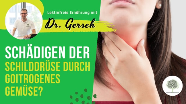Kann man die Schilddrüse durch zu viel goitrogenes Gemüse oder Hirse irreversibel schädigen? 