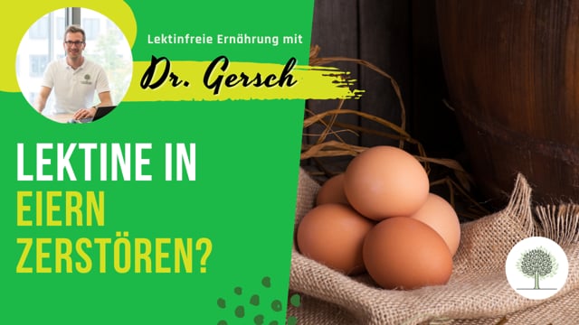 Werden Lektine aus Eiern aus nicht artgerechter Fütterung im Schnellkochtopf zerstört? 
