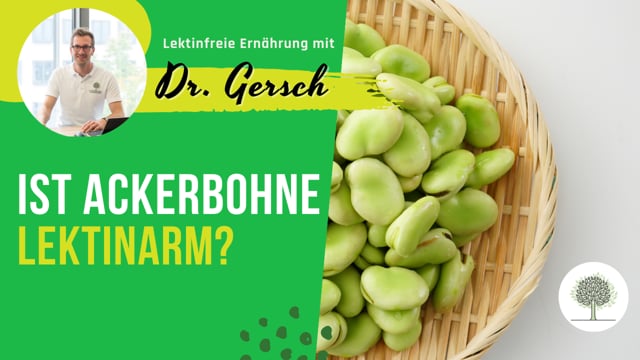Ist die Ackerbohne lektinarm? 