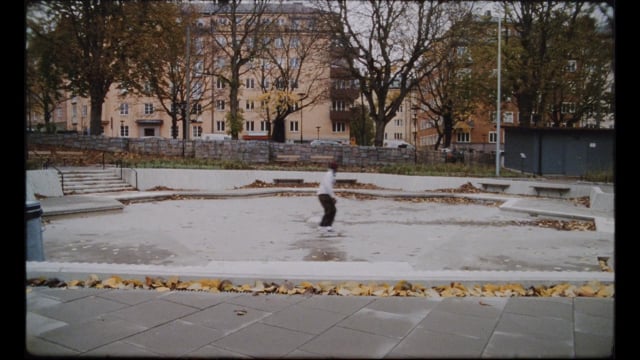 Höststråk