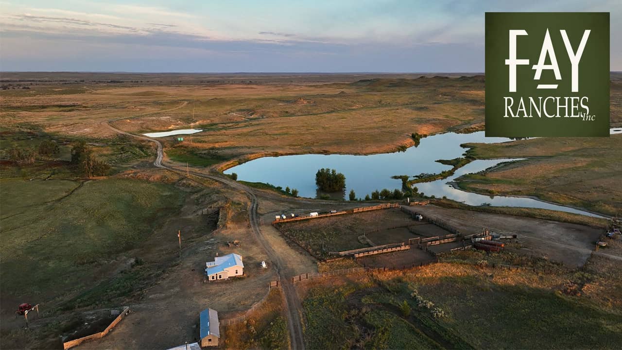 Gray Ranch On Little Porcupine Creek Forsyth, Montana on Vimeo