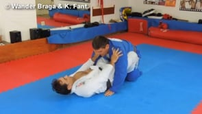 Butterfly Sweep Variation