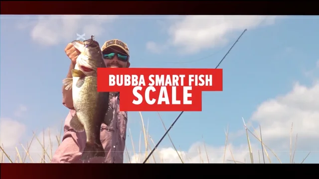 Bubba Smart Fish Scale — Discount Tackle