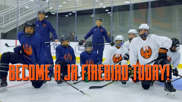 Flint Jr. Firebirds Hockey