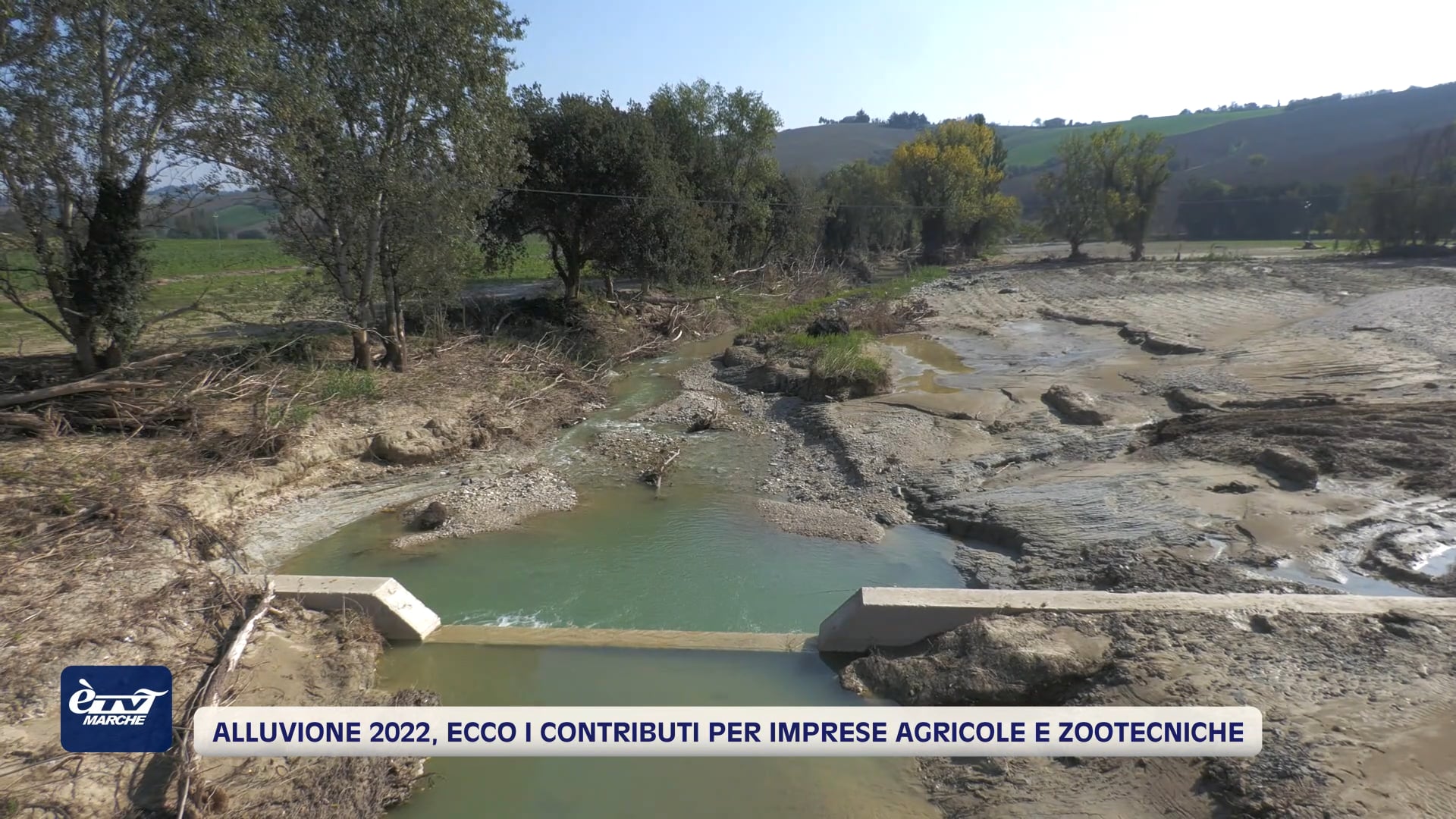 Alluvione 2022, ecco i contributi per le imprese agricole e zootecniche – VIDEO