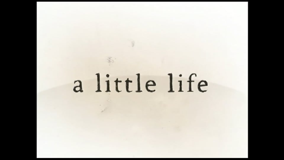 Little Life, A