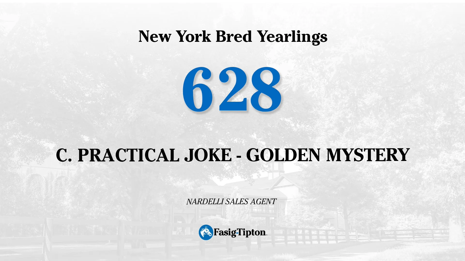 Hip_628_FTNYB23 Practical Joke Golden Mystery