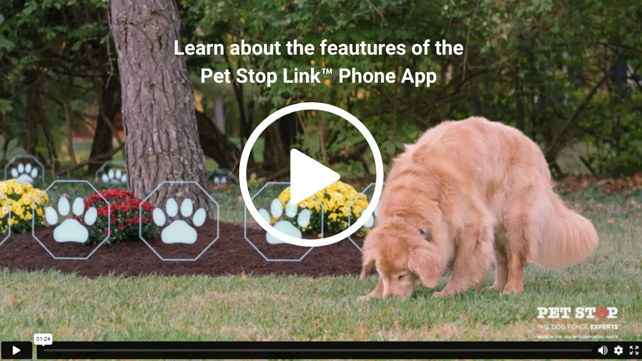 Pet Stop Link on Vimeo