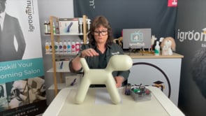 Where are the danger points on a dog