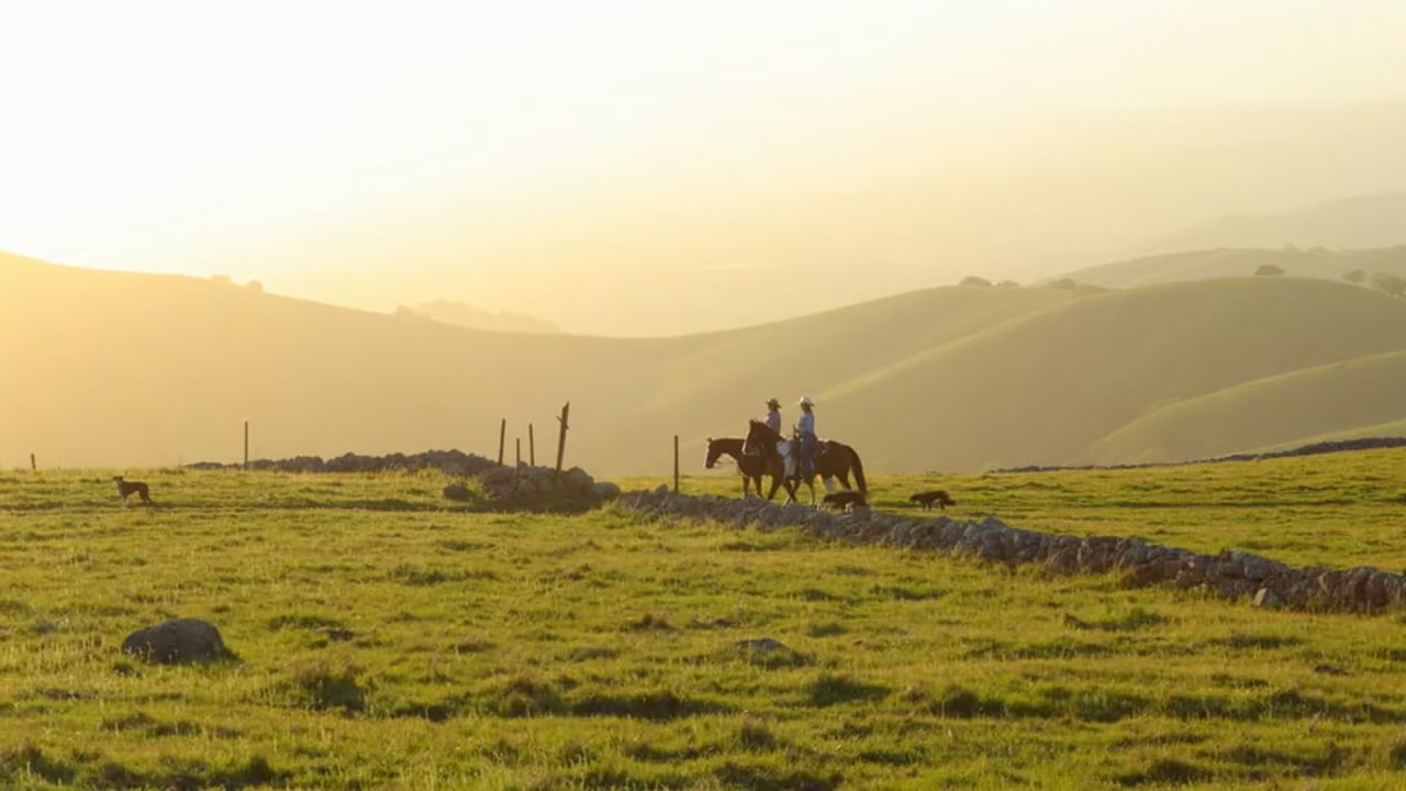 Discover San Benito County – video by Conner Stevens Films