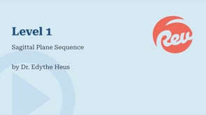 Sagittal Plane Sequence