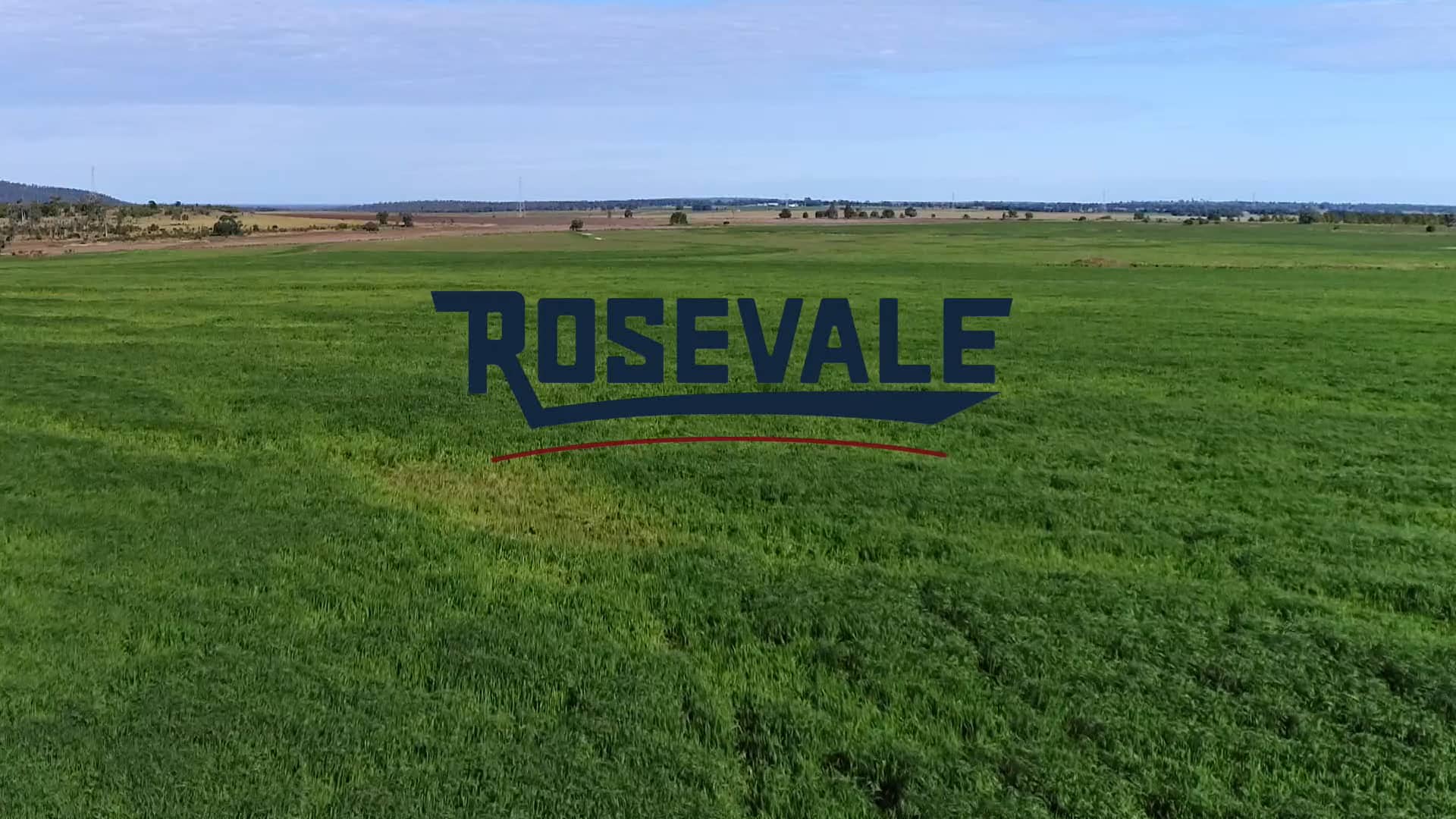 Rosevale 3min (new logo) on Vimeo