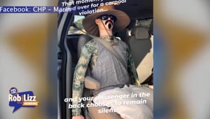 He was Fined for Carpooling a Mannequin