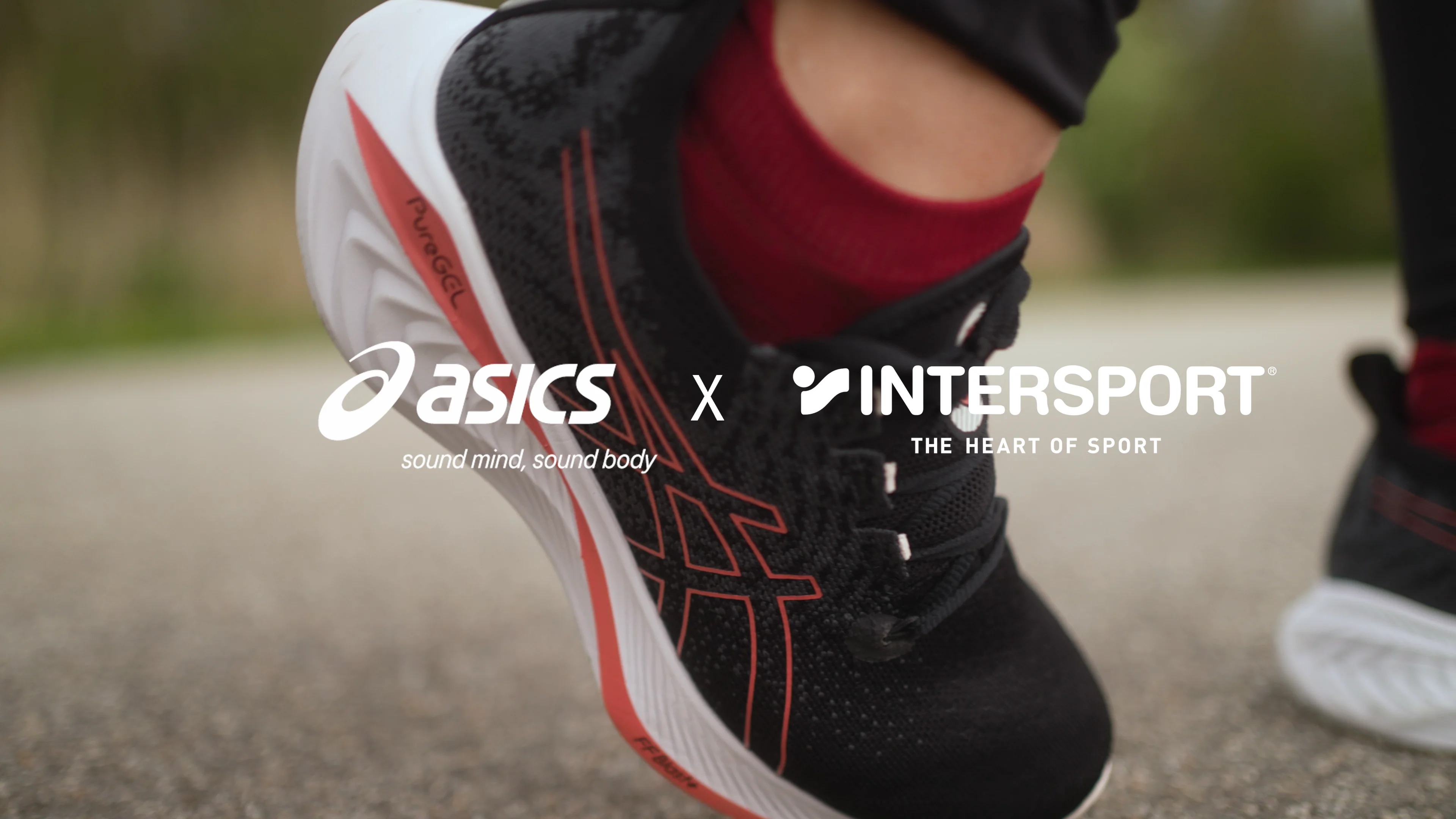 Intersport asics 2025 cumulus